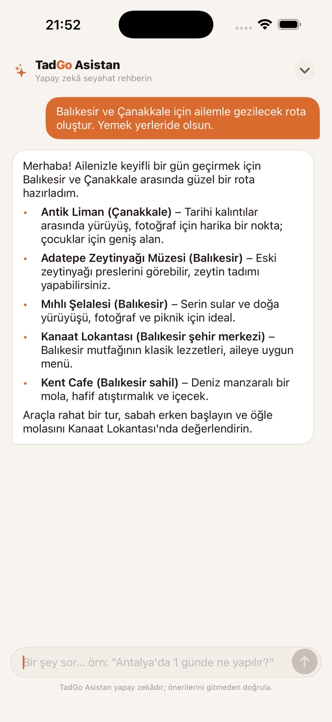 TadGo Asistan sohbeti